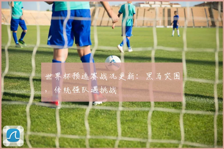 世界杯预选赛战况更新：黑马突围，传统强队遇挑战