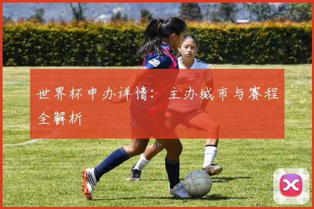 世界杯申办详情:主办城市与赛程全解析