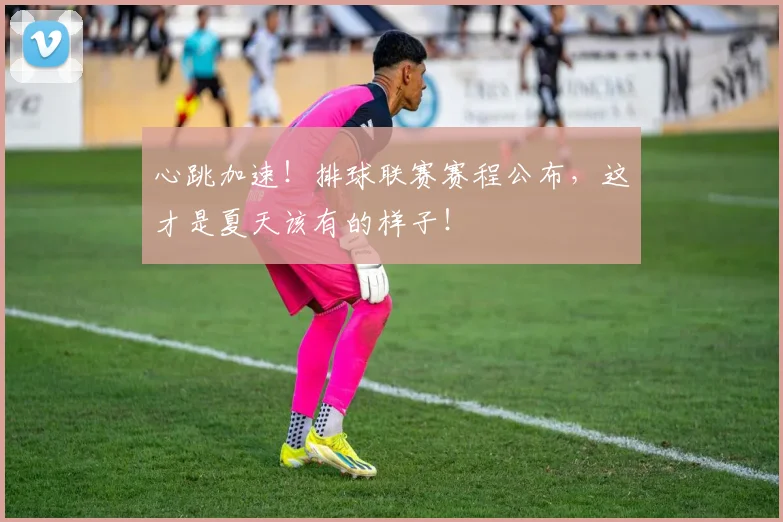 心跳加速！排球联赛赛程公布，这才是夏天该有的样子！