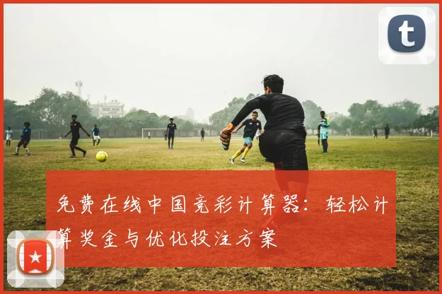 免费在线中国竞彩计算器：轻松计算奖金与优化投注方案