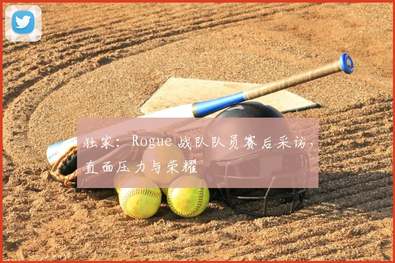 独家：Rogue 战队队员赛后采访，直面压力与荣耀