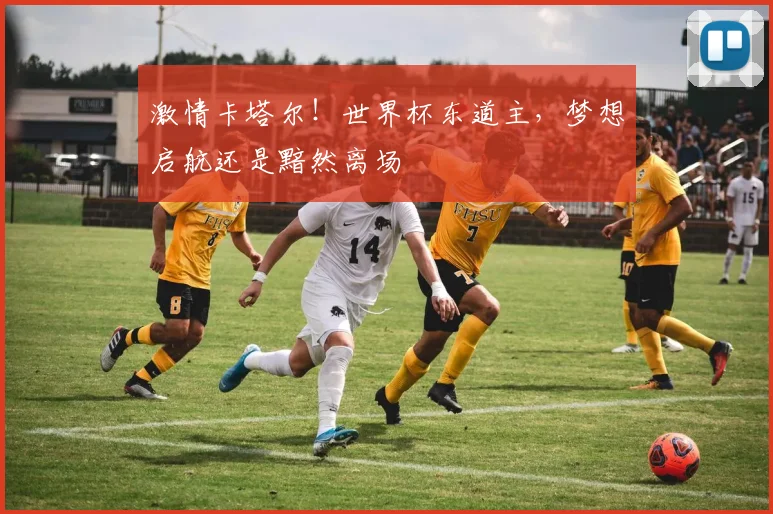 激情卡塔尔！世界杯东道主，梦想启航还是黯然离场